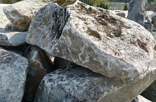 High Cascade Granite - Moss